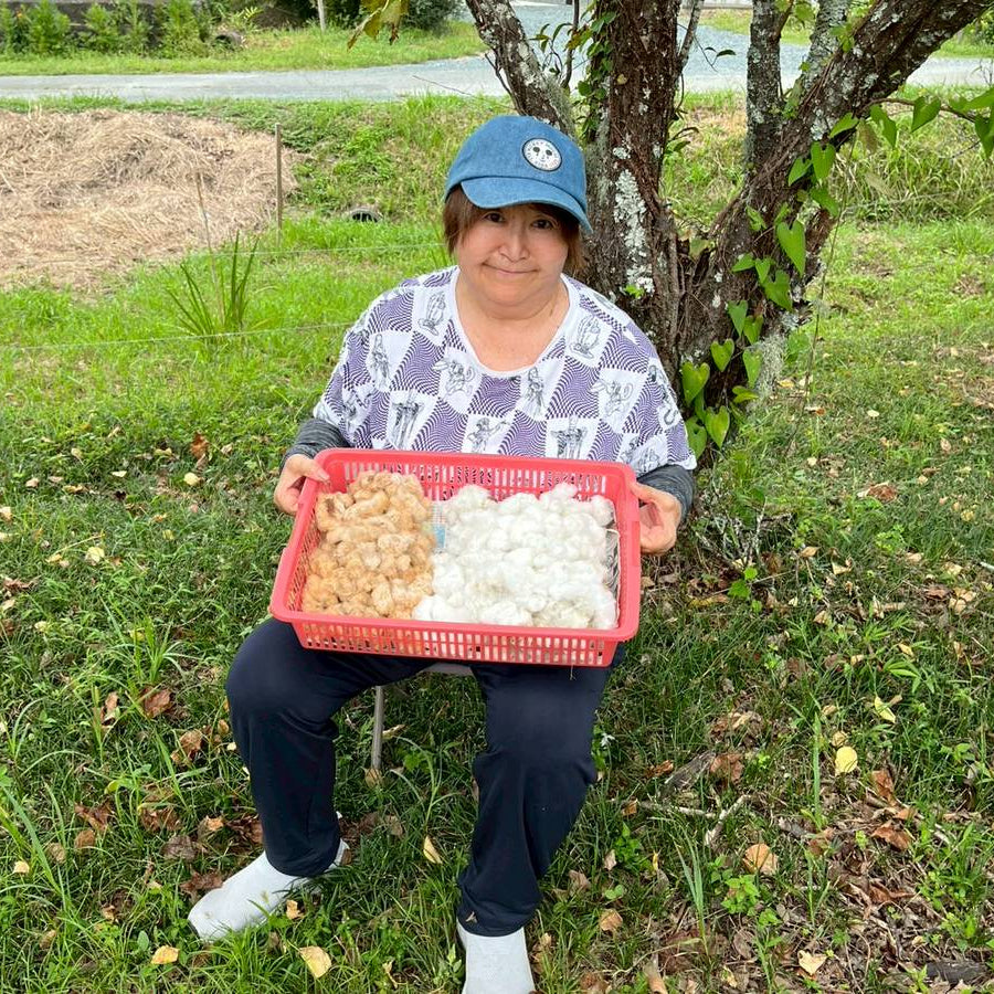 クリスマス スワッグ