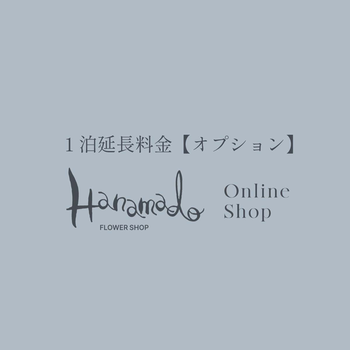 1泊延長料金【オプション】
