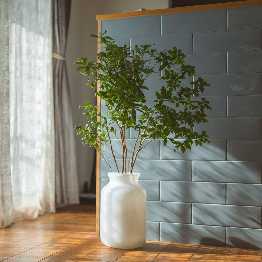 馬酔木(アセビ・アセボ)のお手入れ方法