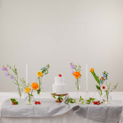 手軽におうちスタジオ！花と花びんのレンタルセット（送料込）【カラフル】